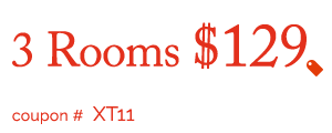 XT11 | 3 rooms - Basic steam cleaning + Hallway, Only $129